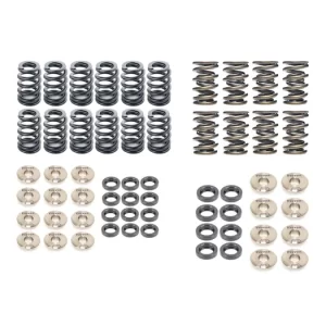 KIT DE MUELLES Y COPELAS DE VÁLVULA FERREA S3 8L | TT 8N | LEON 1M | GOLF 4 GTI 1.8T 20V